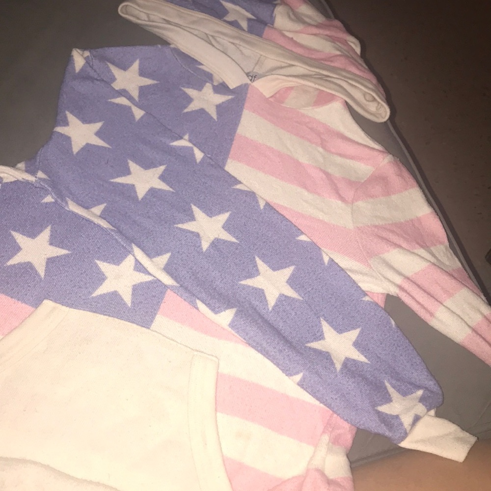 Set of 2 Wildfox Sweaters